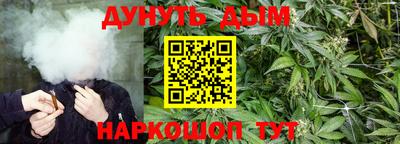 spice Кингисепп