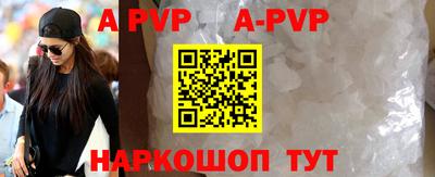 spice Кингисепп